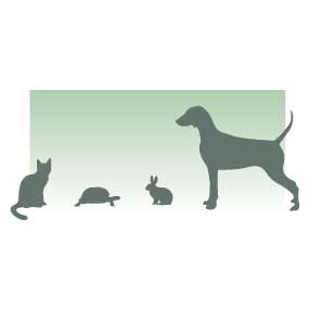 Dog links we like: Notting Hill Vets Logo