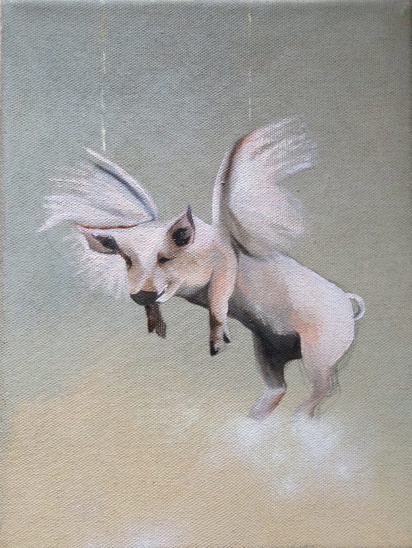 pigs might fly, 2009, oil on canvas, 18 x 24cm