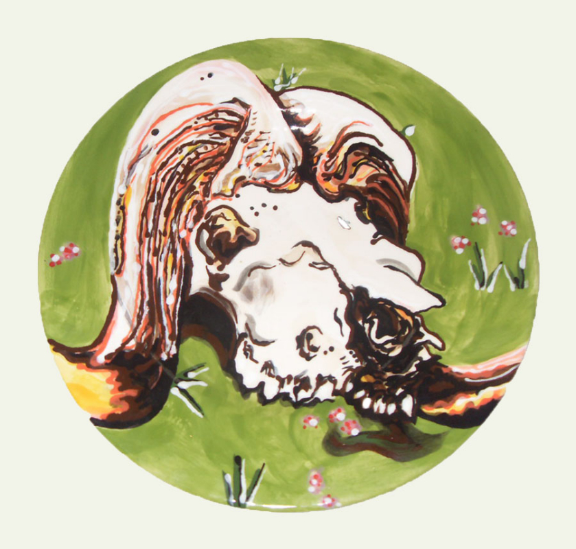 musk ox skull, 2013, 22 cm diameter