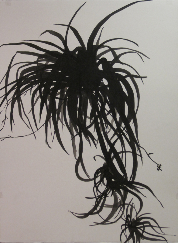 K's plants3, 2012, ink on paper, 76 x 56 cm
