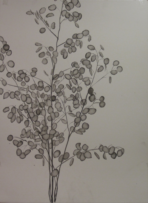 K's plants7, 2012, ink on paper, 76 x 56 cm