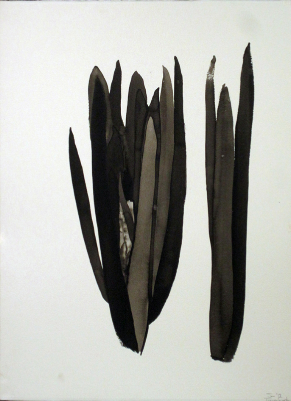 still dark life, 2013, ink on paper, 76 x 56 cm 