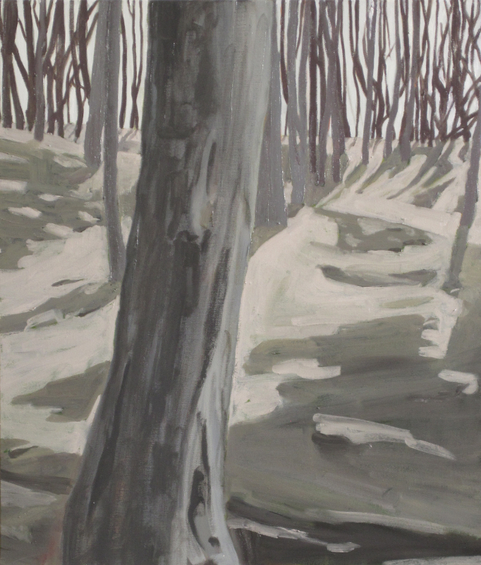 surrey woods, oil on canvas, 70 x 60 cm